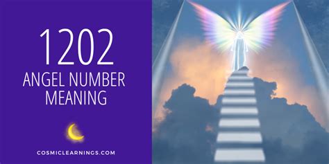 1202 angel number twin flame|1202 Angel Number in the Twin Flame Reunion